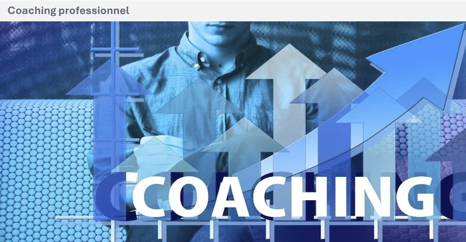 un panorama du coaching professionnel