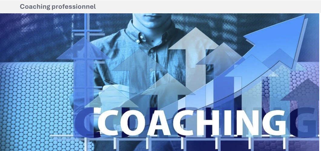 un panorama du coaching professionnel