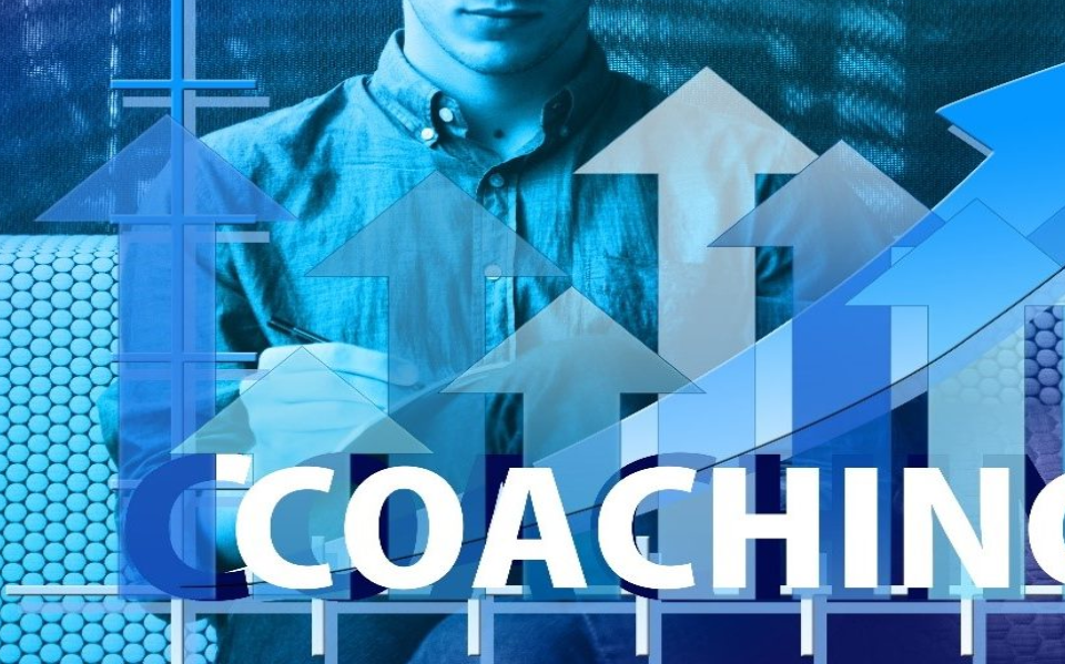 un panorama du coaching professionnel