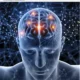 Les neurosciences, une richesse pour le coaching
