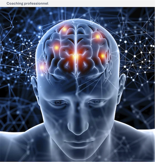 Les neurosciences, une richesse pour le coaching